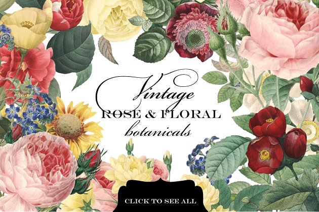 复古玫瑰和花卉植物 Vintage Rose & Floral Botanicals