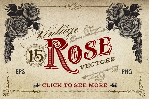 经典的玫瑰矢量图形素材 Vintage Rose Vector Graphics