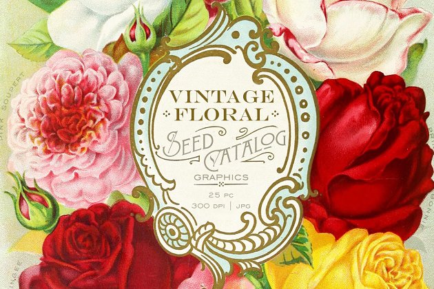 复古花卉图形 Vintage Floral Seed Catalog Graphics