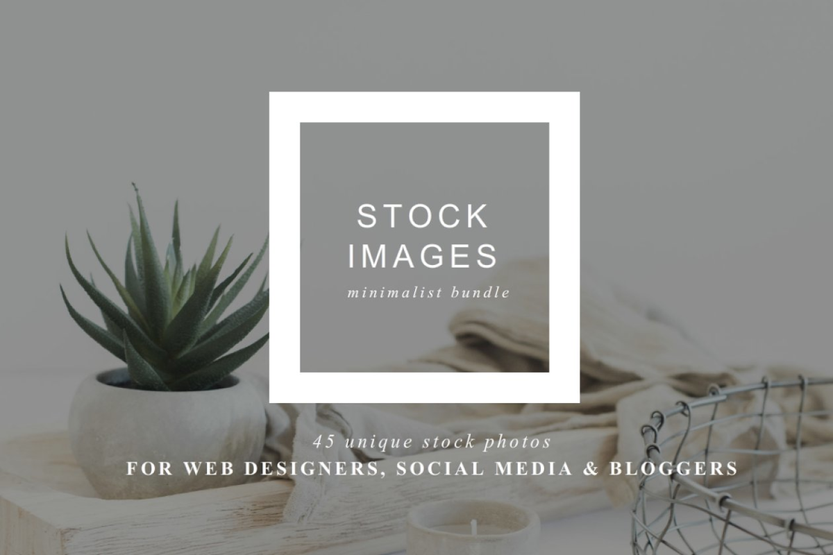 极简主义绿植图片 Stock Photo Bundle | Minimalist