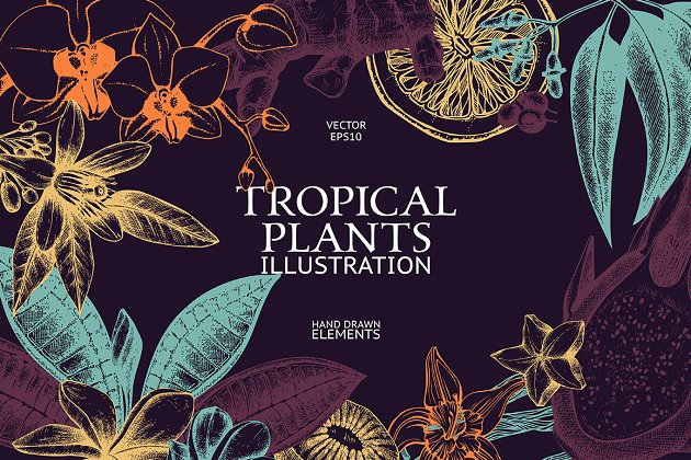 反转的多彩花卉面料素材 Vector Tropical Plants & Flowers