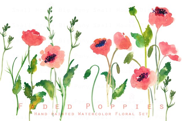 褪色效果的水彩画素材 Faded Poppies-Watercolor Clip Art