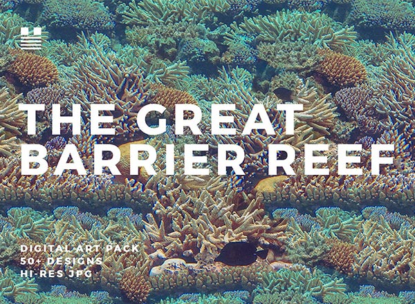 澳大利亚大堡礁珊瑚礁个性时尚纹理背景底纹大集合