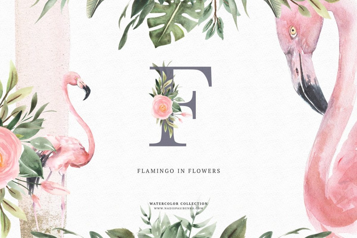 时尚水彩花卉图形 Watercolor Flamingo & Flowers