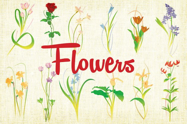 花卉植物插图素材 Flower Vector Illustrations