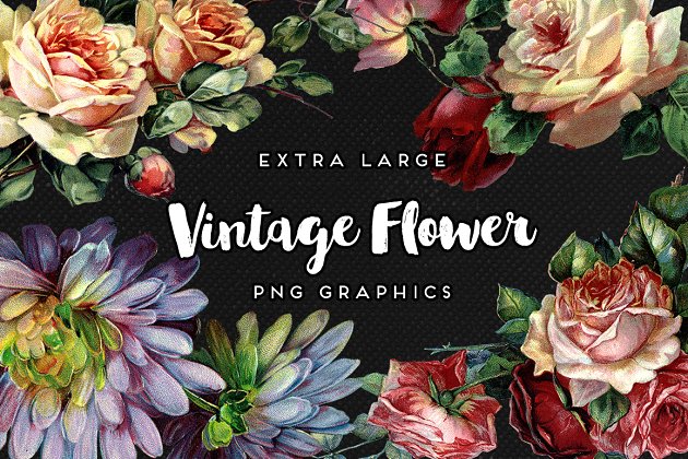 经典花卉图案插画1 Large Vintage Flower Graphics No. 1