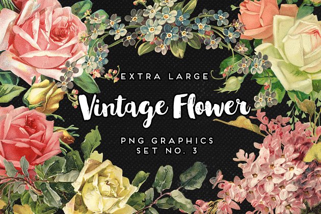 大的经典花卉素材 Large Vintage Flower Graphics No. 3