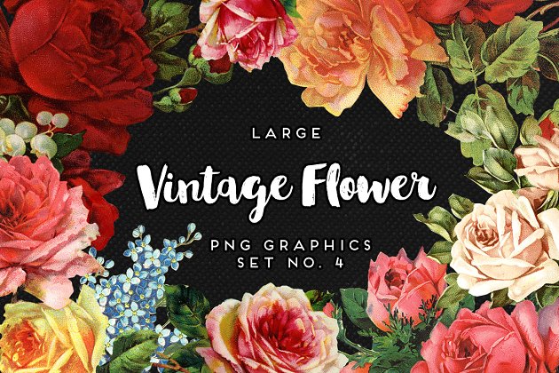 大而经典的花卉图形素材 Large Vintage Flower Graphics No. 4