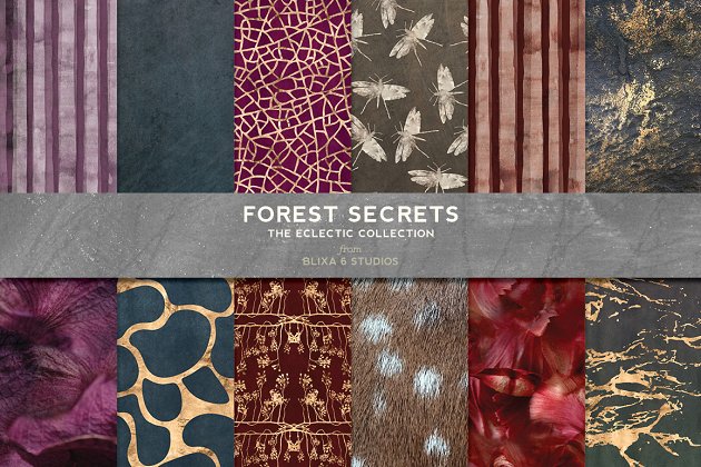 森林秘密林背景纹理素材 Forest Secrets Woodland Collection