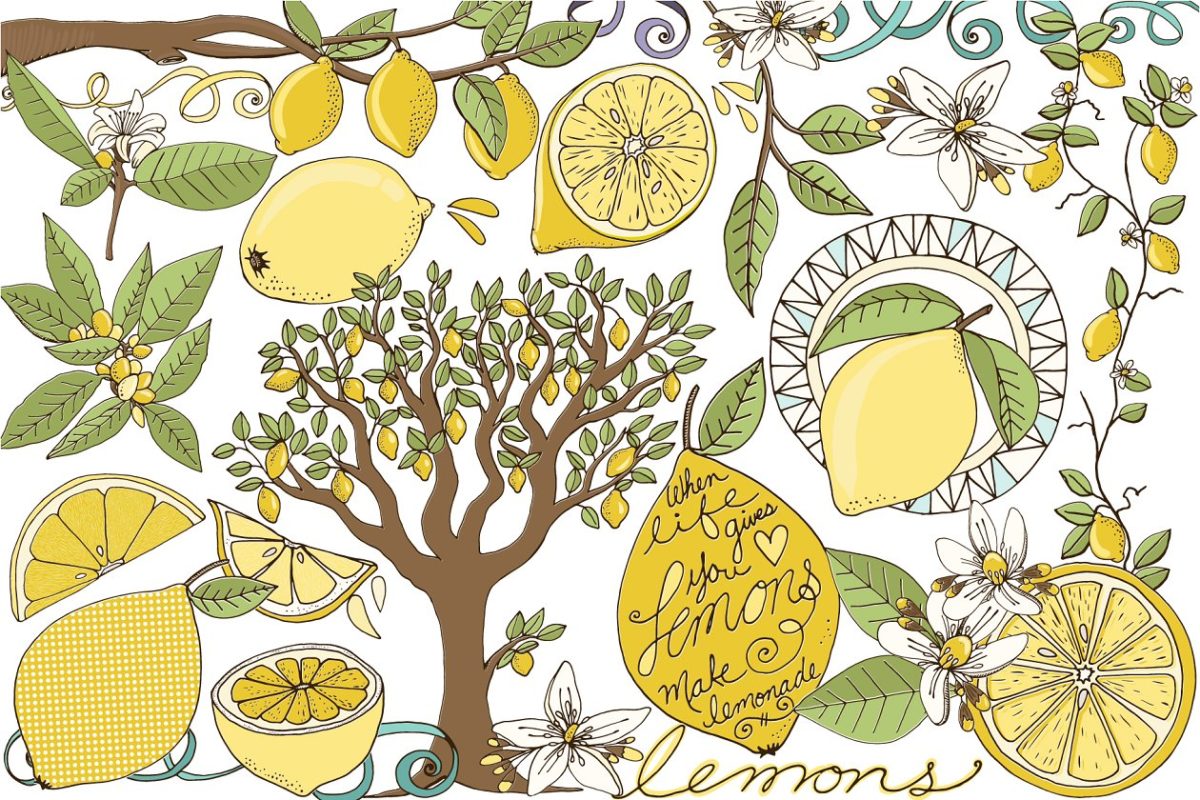 柠檬夏季水果插图 Lemons, Summer Fruit Illustrations