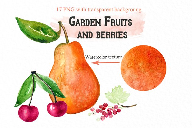 水果和浆果水彩画素材 Fruits & berries watercolors