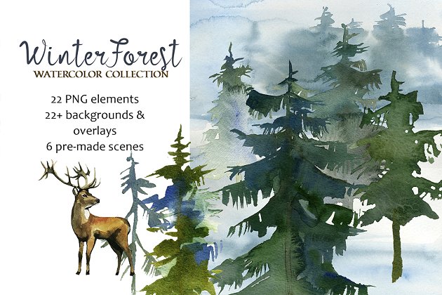 森林冷杉木水彩画素材 Forest Fir Trees Watercolor Clipart