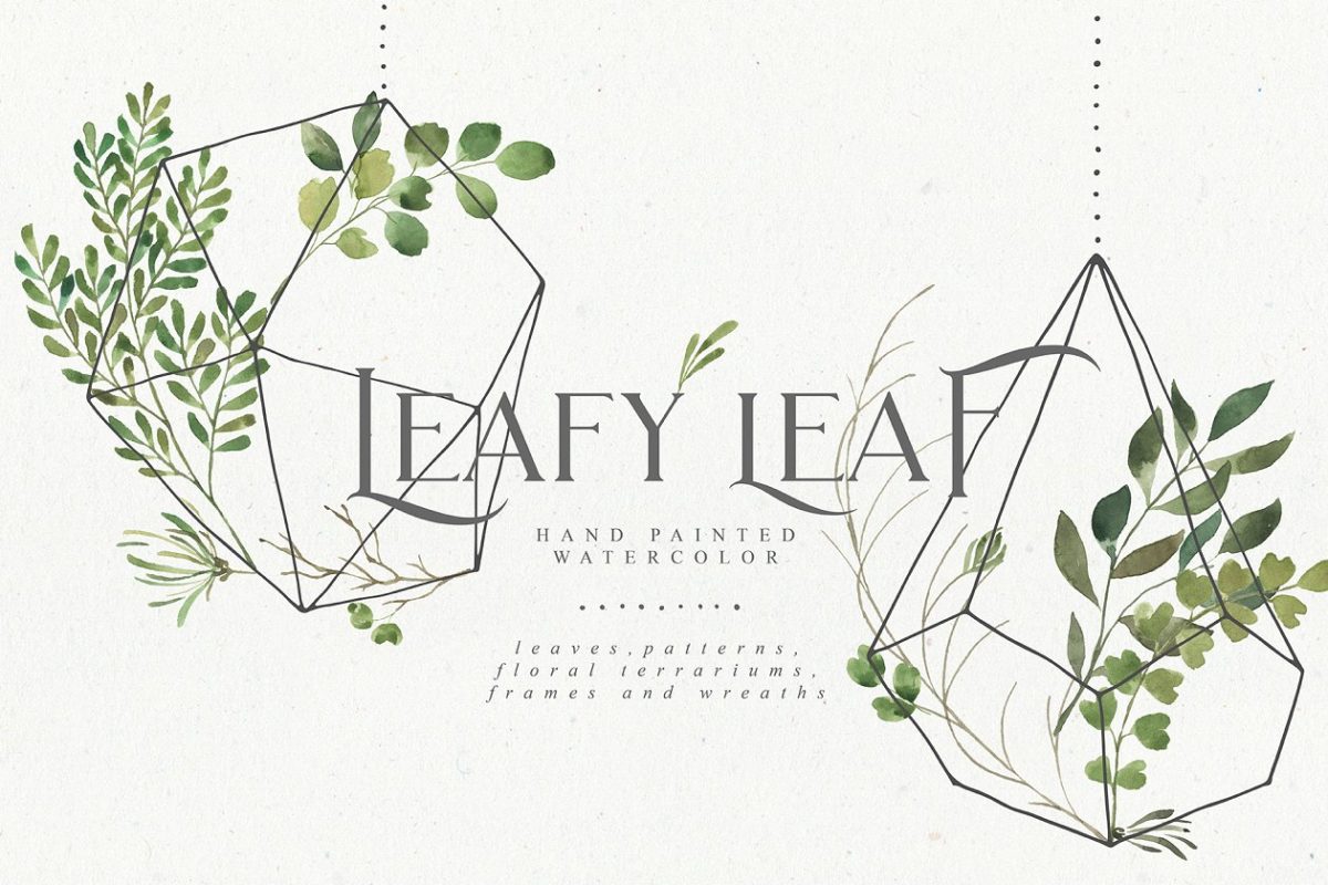 繁茂的水彩树叶元素、相框、纹理素材包 Leafy Leaf Collection