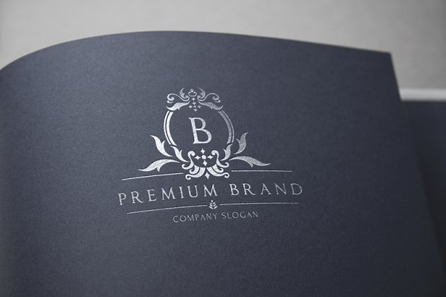 专业感觉的品牌logo模板 Premium Brand