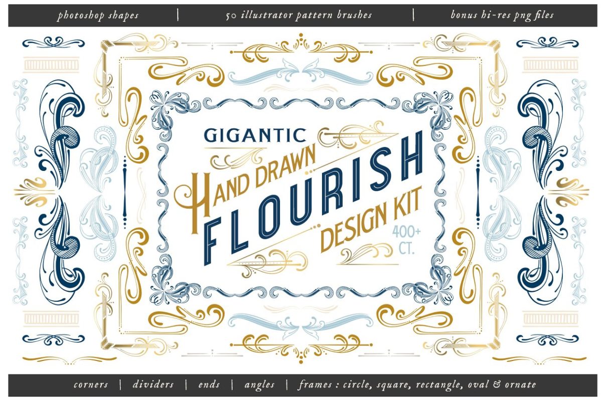 手绘抽象花卉设计套件 Hand Drawn Flourish Design Kit