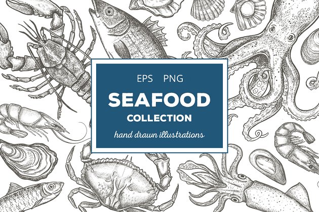 海鲜食物插画 Seafood Illustrations