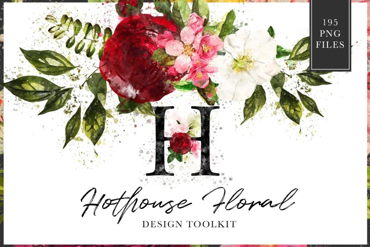 绘画水彩素材包 Hothouse Floral Design ToolKit