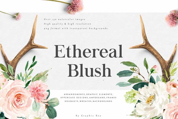 水彩+字母+花卉的完美组合 Ethereal Blush-Florals Graphic Set [1.8GB]