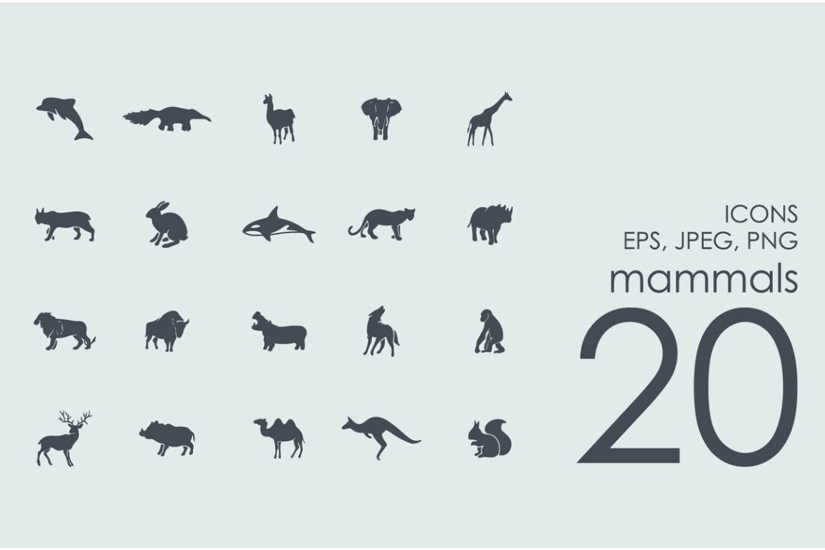 哺乳动物图标素材 20 mammals icons