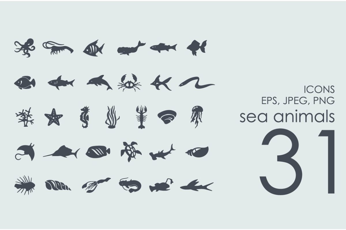 31个海洋生物图标 31 sea animals icons