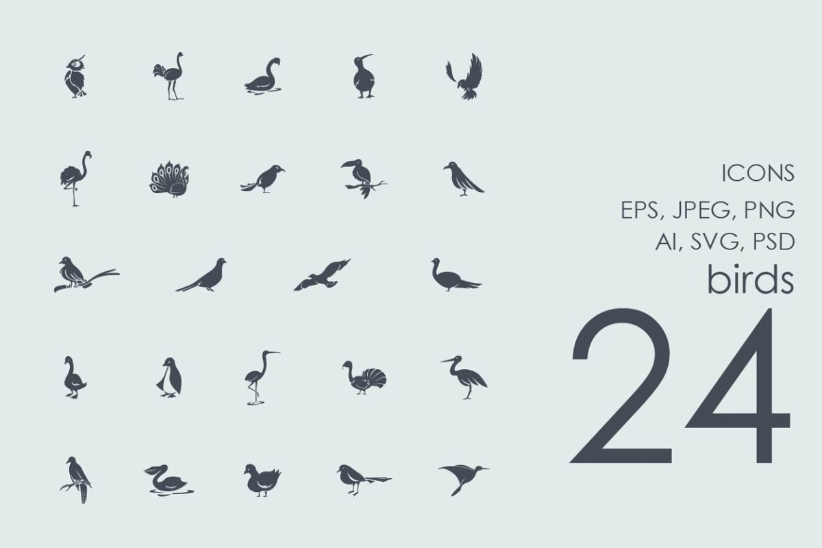 鸟类图标套装 Set of birds icons