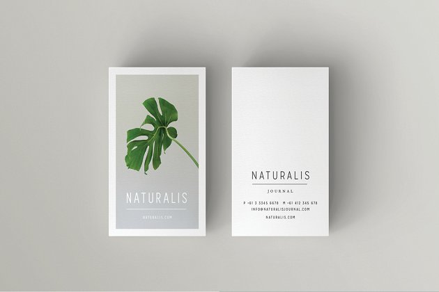 商业名片模板 NATURALIS Business Card Template