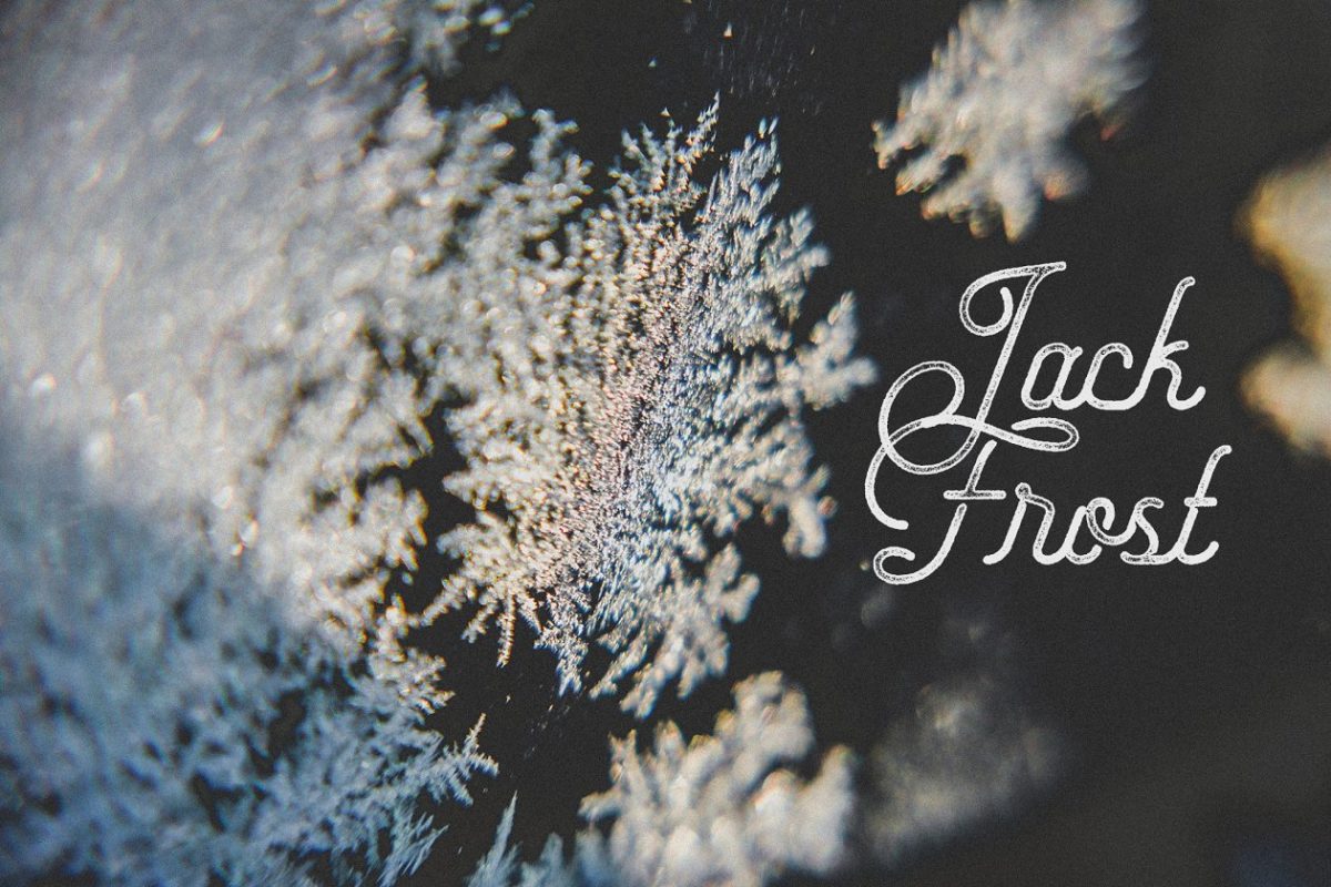 冬季冰晶雾凇素材图片 Jack Frost