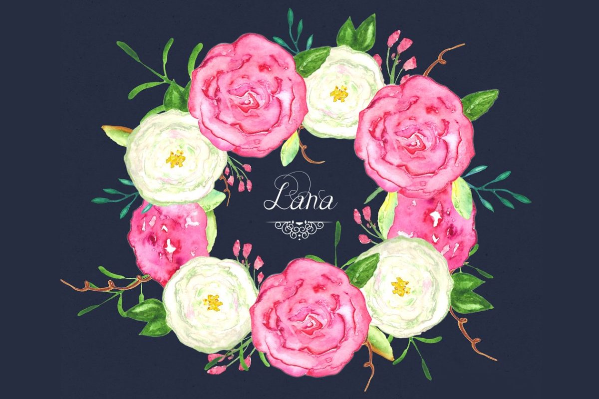 水彩玫瑰插画 Roses Lana watercolor flowers