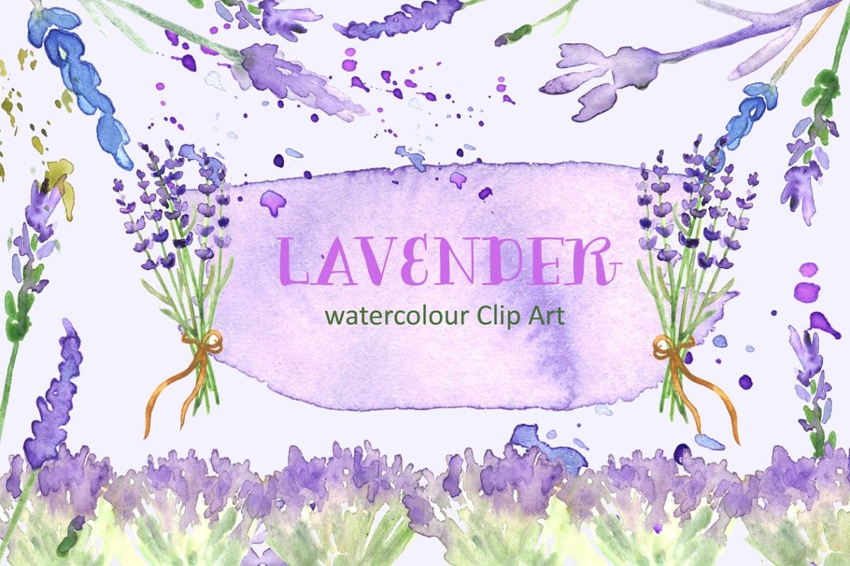 薰衣草水彩剪贴画 Lavender watercolor clipart