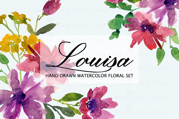 水彩花卉剪贴画 Louisa- Watercolor Clip Art Set