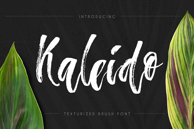 脚本笔刷字体 Kaleido – script brush font