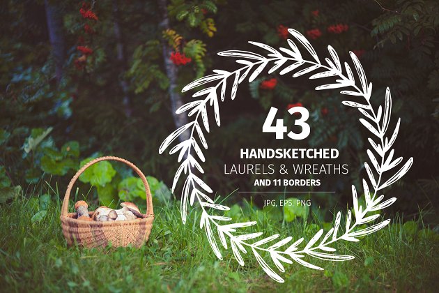 43个刻字的桂冠和花圈 43 Handsketched Laurels & Wreaths