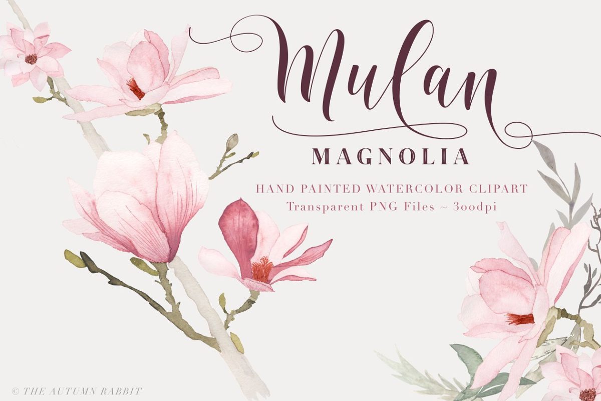 水彩玉兰花饰 Watercolor Magnolia Floral Clipart