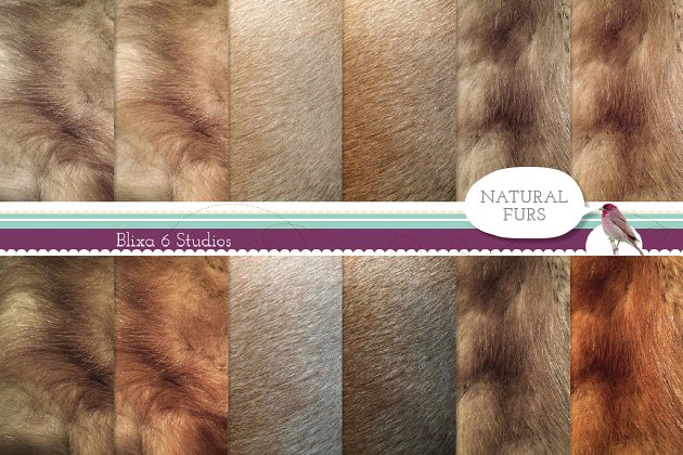天然皮毛背景纹理 Natural Fur Digital Paper Collection