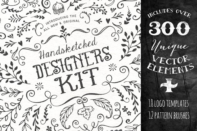 抽象花卉图形设计工具包 The Handsketched Designers Kit