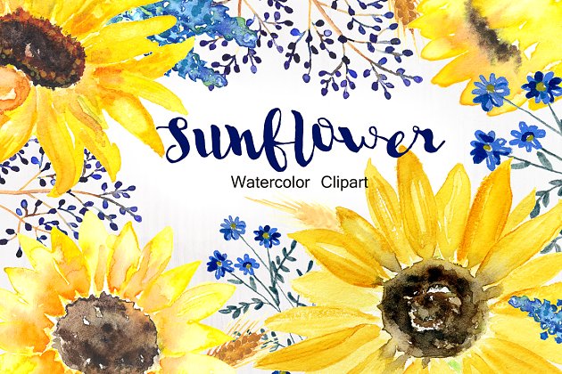 向日葵水彩画 Sunflower Watercolor Clipart