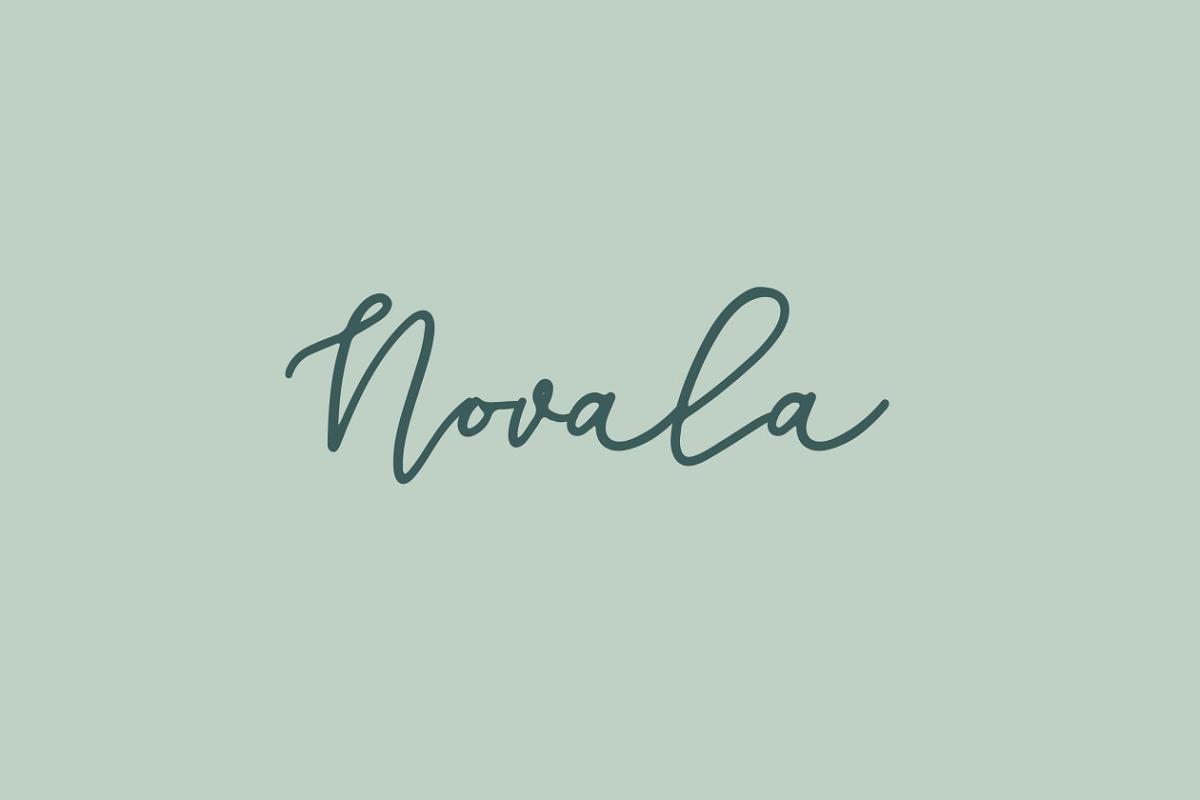 随性的单线字体 Novala