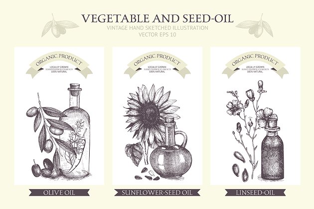 植物油种子素材 Seed Oil Design Collection