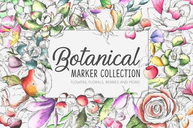 水彩植物图形花卉 Botanical Marker Collection Pro