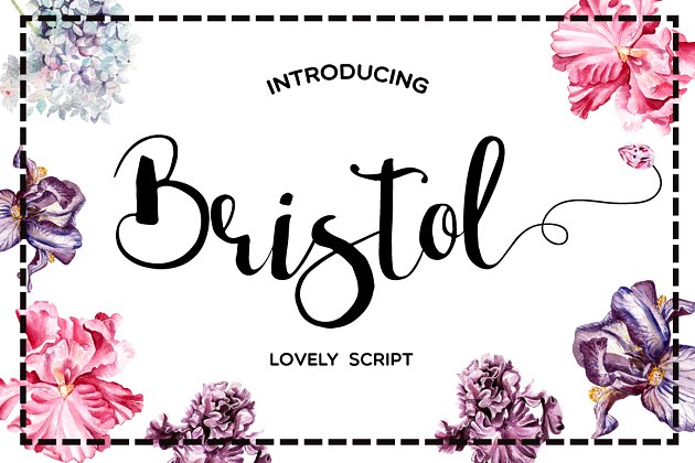 漂亮的手写字体 Bristol Script Font