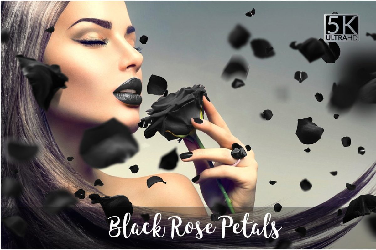 5K黑玫瑰花瓣素材 5K Black Rose Petals Overlays