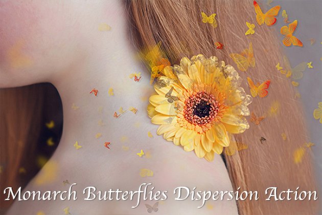 黑脉金斑蝶ps动作 Monarch Butterflies Dispersion Action