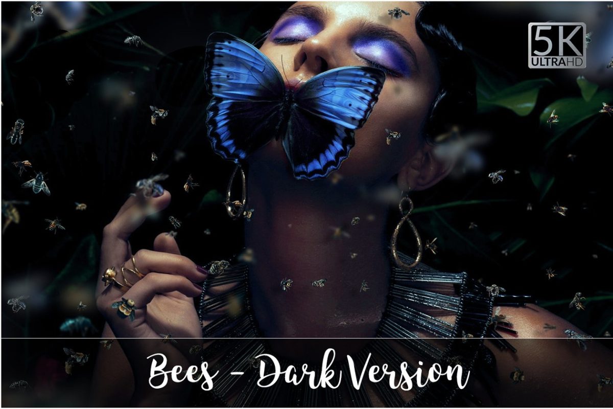 5K蝴蝶梦幻图形 5K Bees Overlays – Dark Version