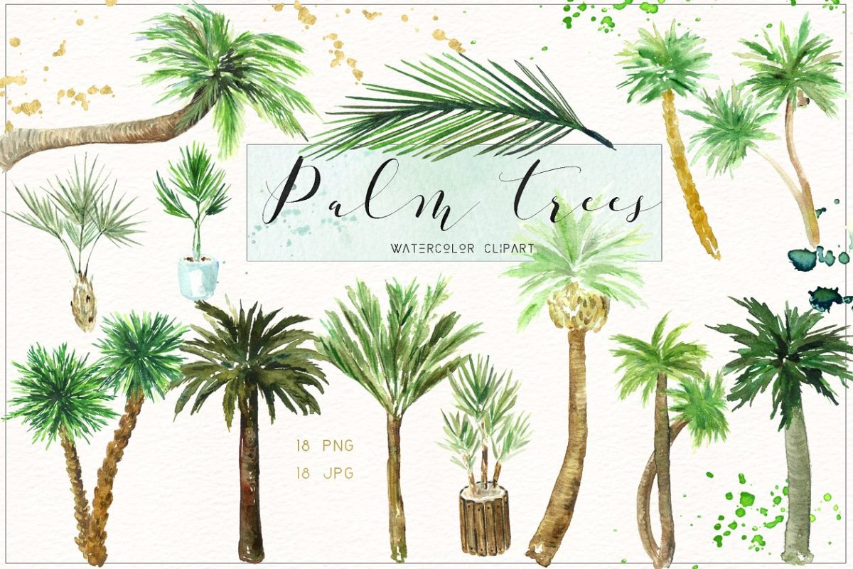 椰子树水彩素材包 Palm trees. Watercolor clipart.