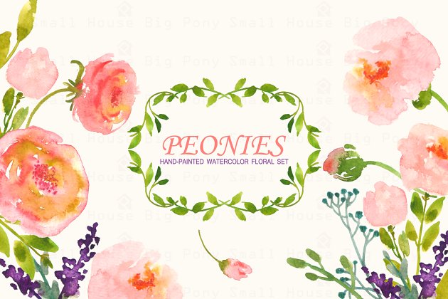 牡丹花平面图形素材 Peonies- Watercolor Clip Art Set