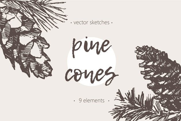 松树草图素材合集 Sketches of pine cones