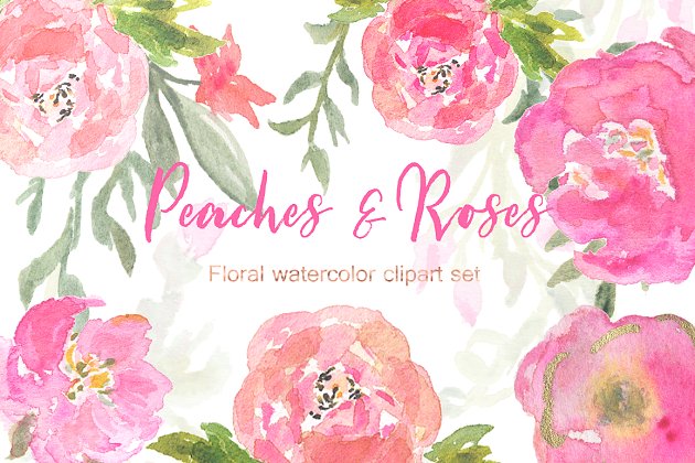 桃色玫瑰水彩素材 Peaches Roses and gold watercolor