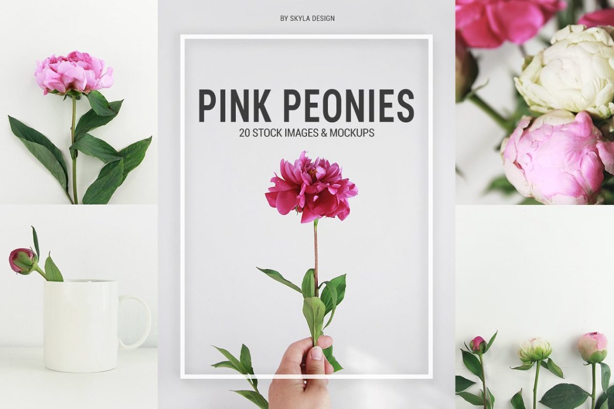简单的照片样机 Pink peonies stock & mockups