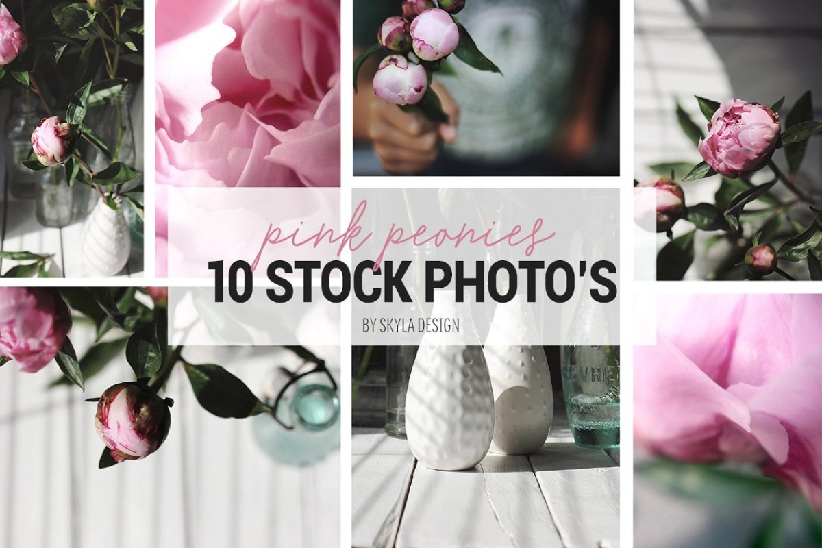 花卉照片图库 Styled stock photos, Pink peonies