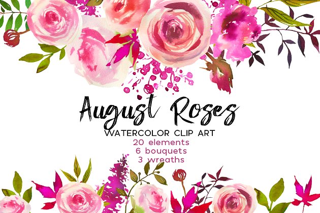 玫瑰水彩画素材合集 August Roses Watercolor Clip Art